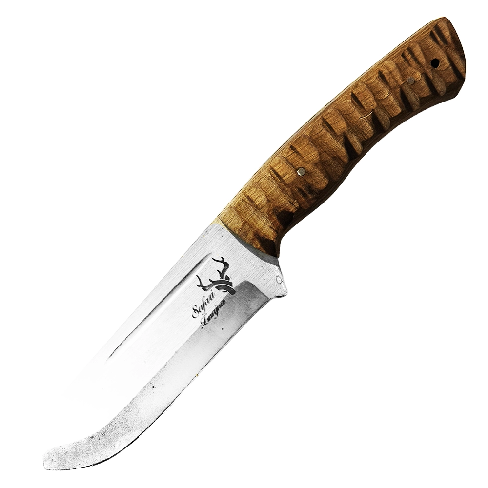 SAFRI ZANAJNA 27 1