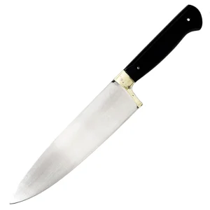 SARDARI33 510 1